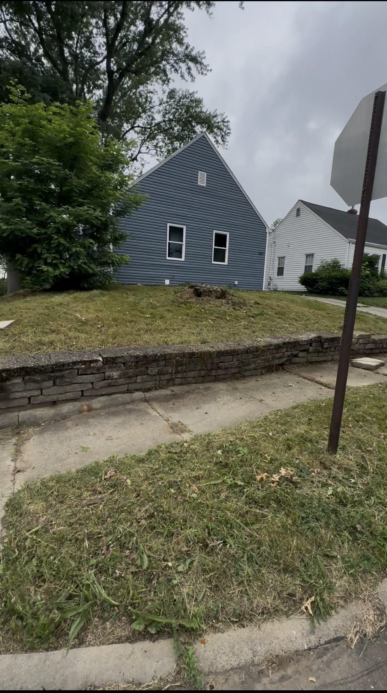 Yard after professional cleanup