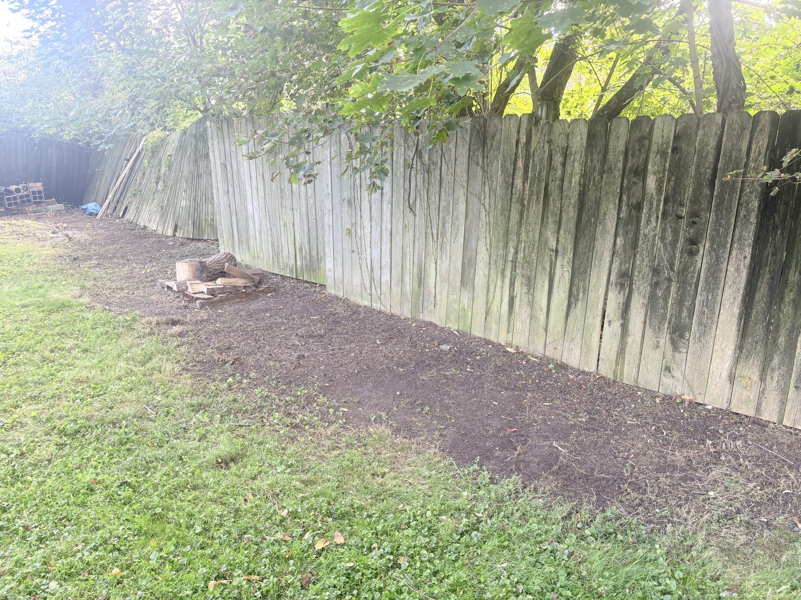 Cleared backyard fence line after brush removal