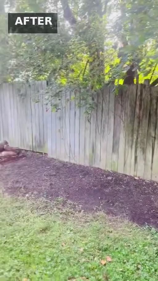 Video of backyard brush cleanup before and after