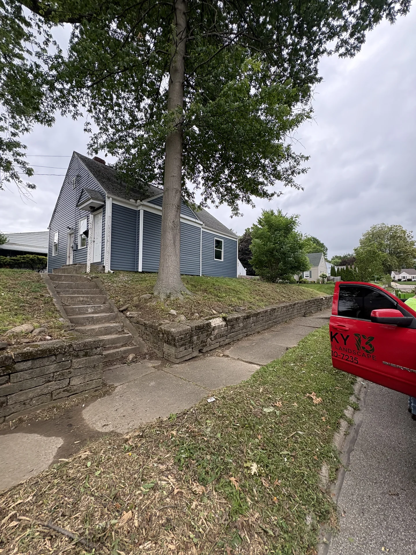 Curb area before yard cleanup