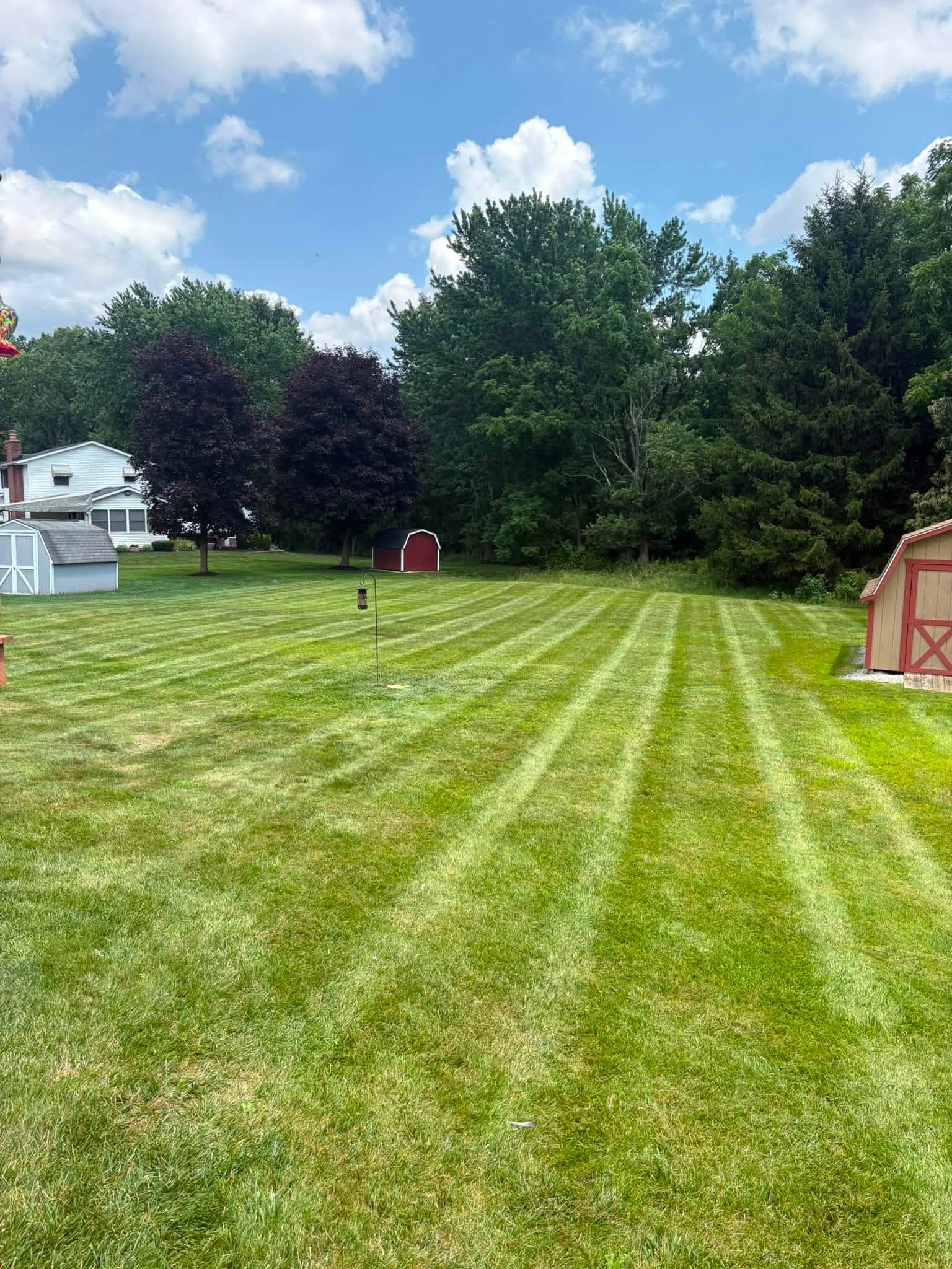Fresh cut yard with clean stripes