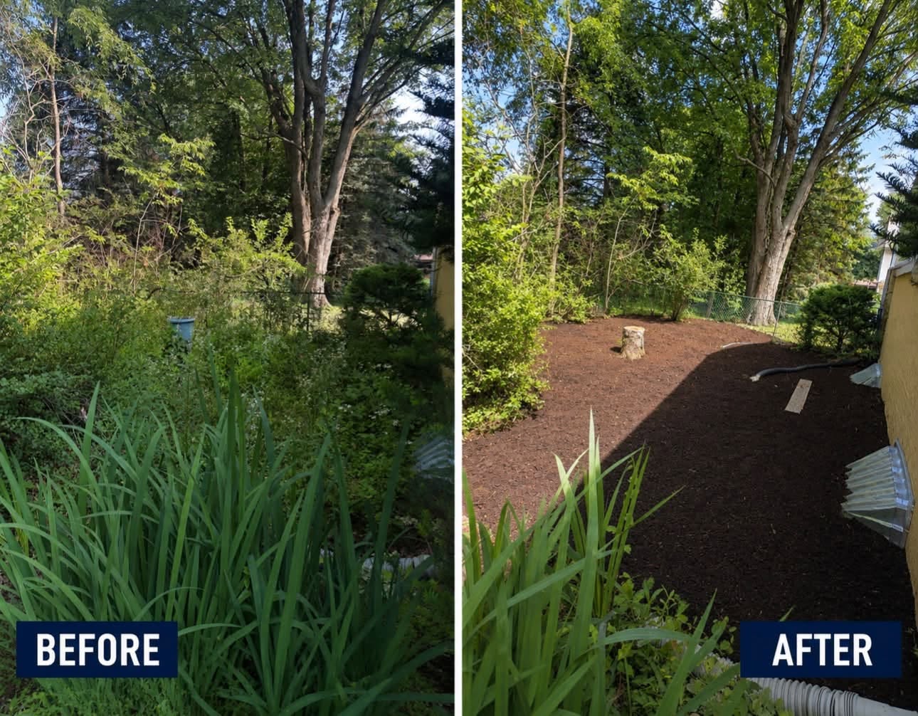 Landscape cleanup before and after