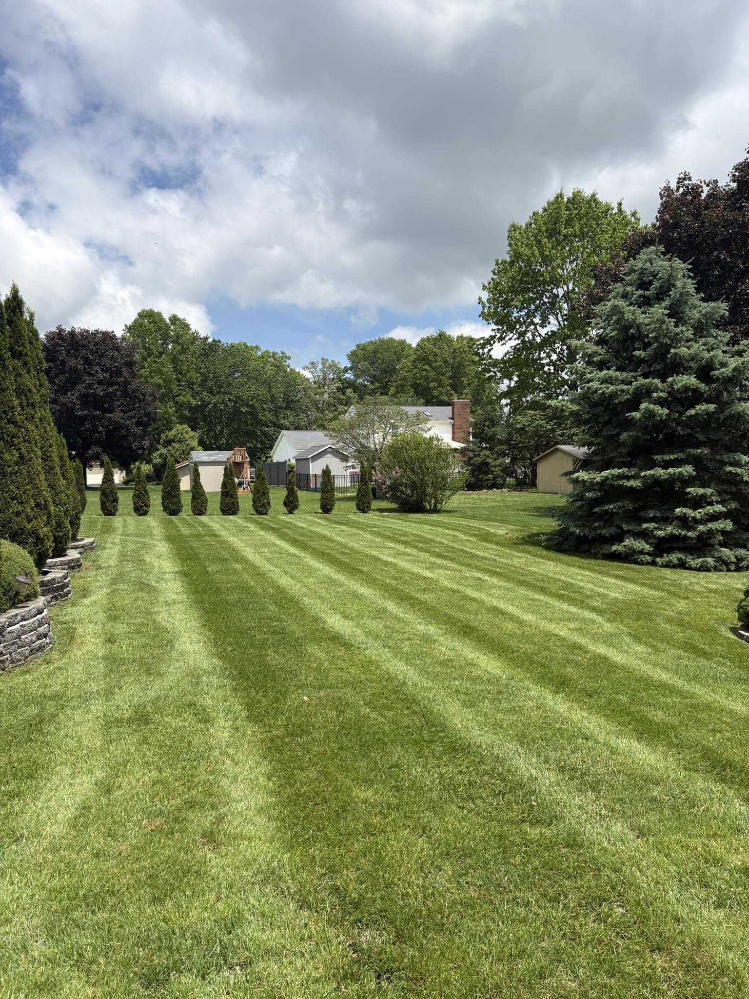 Well-maintained residential lawn