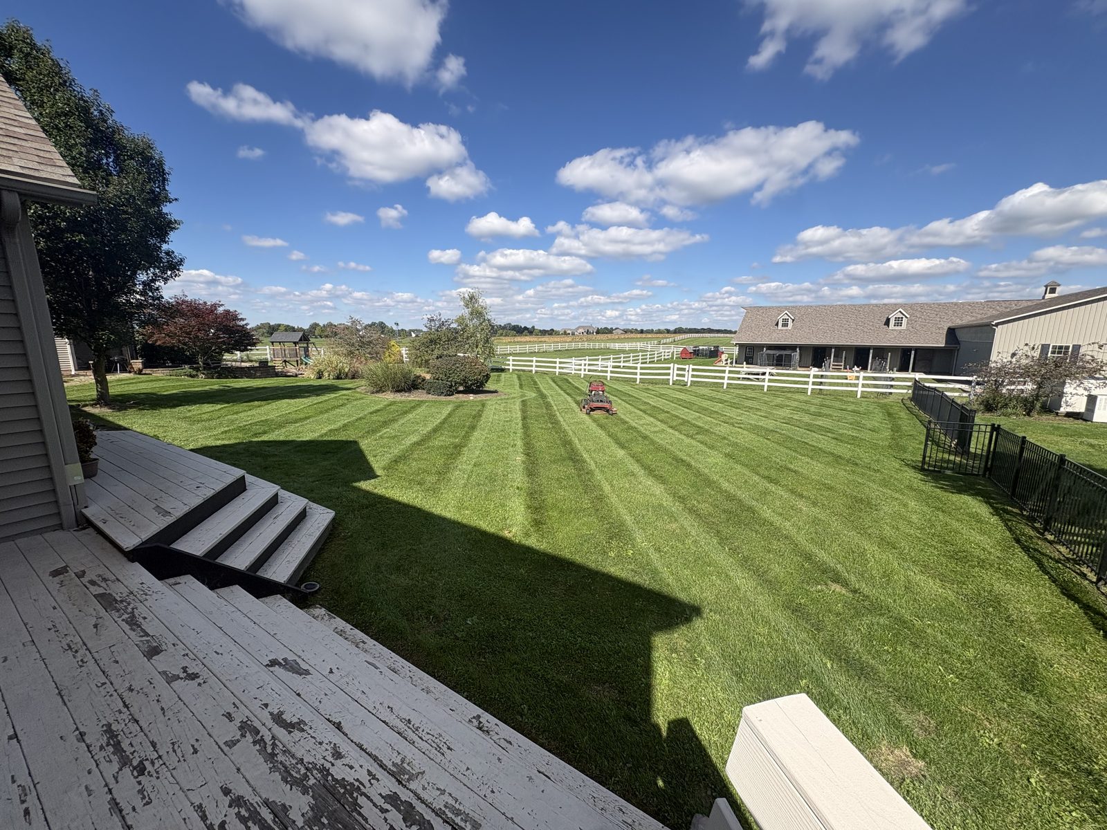 Large striped backyard lawn with white fence