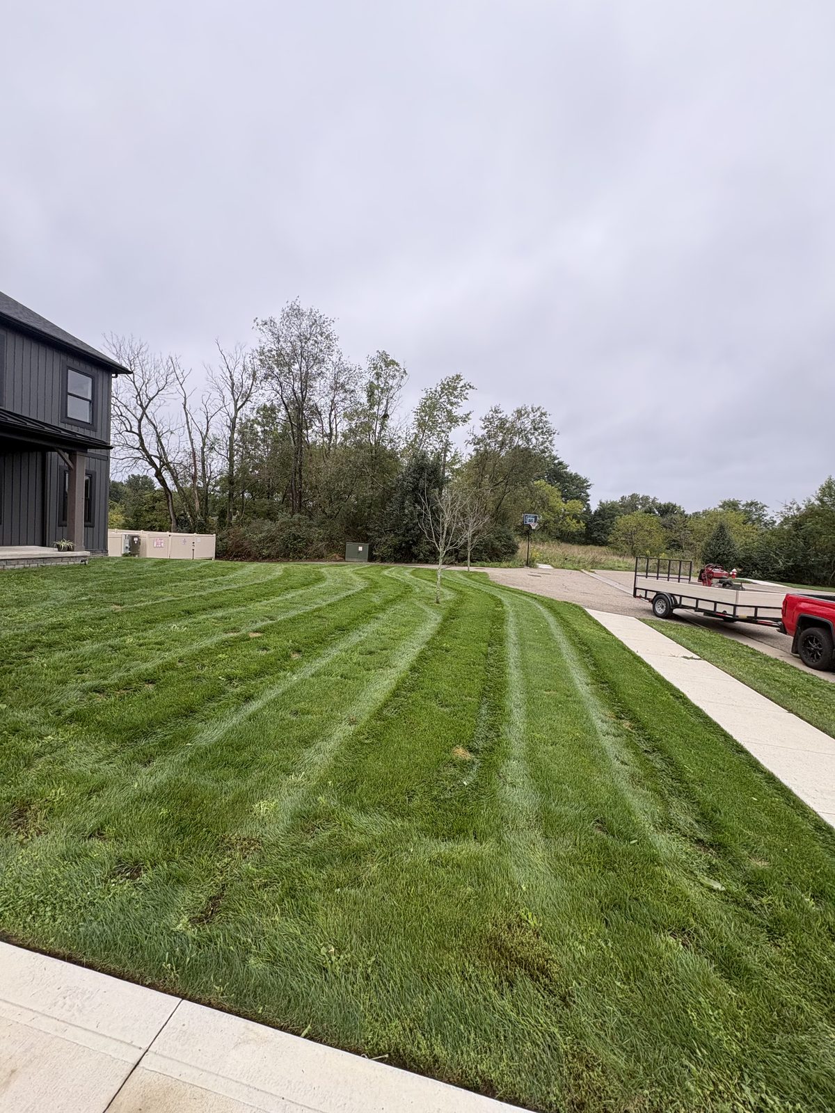 Striped front lawn along sidewalk with company truck and trailer